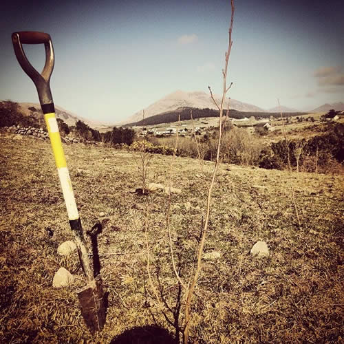 Forestry Management - Costs 