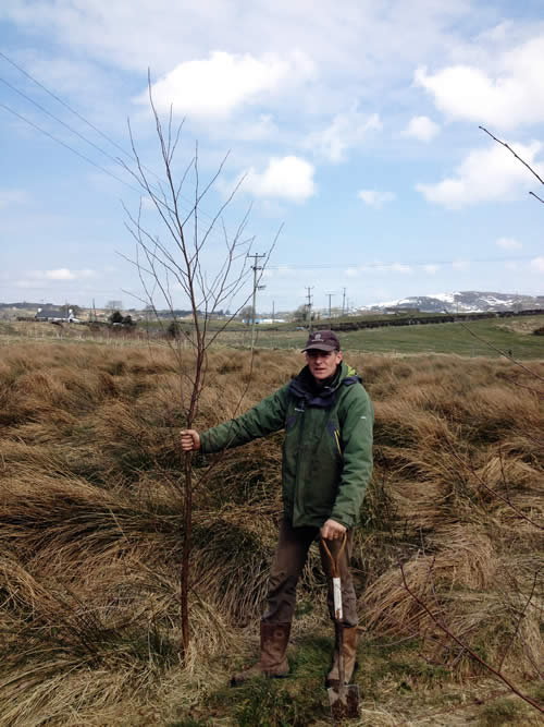 Forestry Planting Tree Planting throughout Northern Ireland